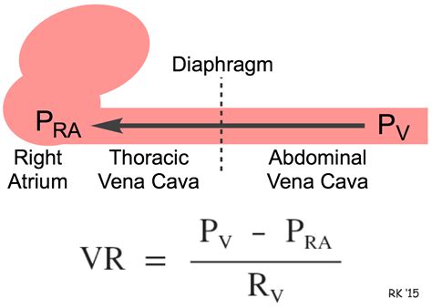 volume and venous return chart